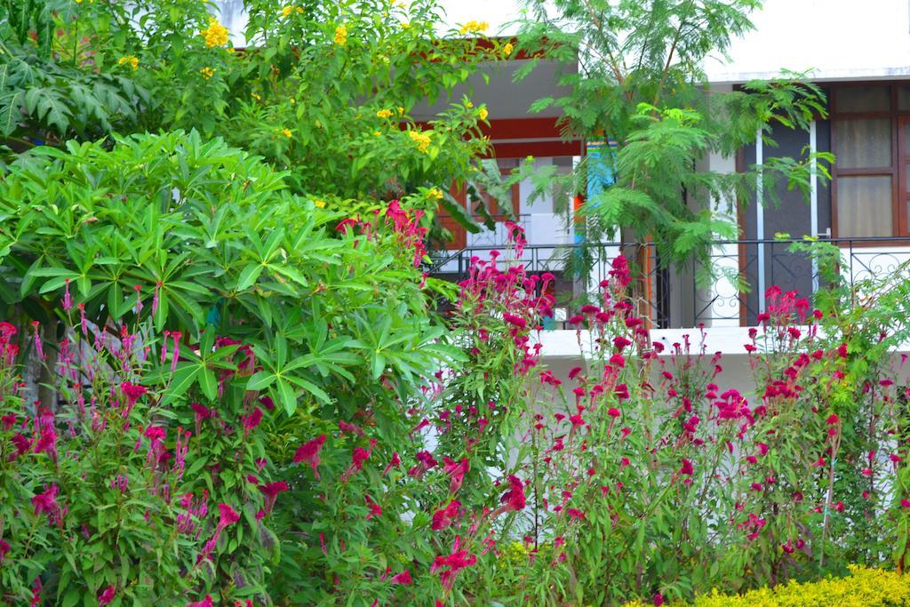 Hotel Harmony ขชุราโห ภายนอก รูปภาพ